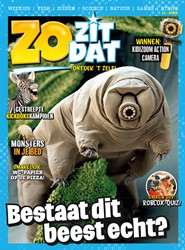 Covers - Zo zit dat (Druk)